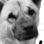 Profile picture of ysk158